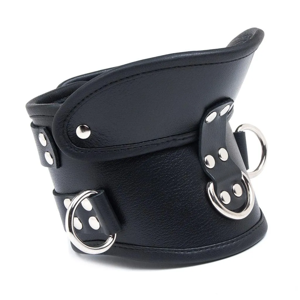 Deluxe Padded Leather Posture Collar w/ D Rings