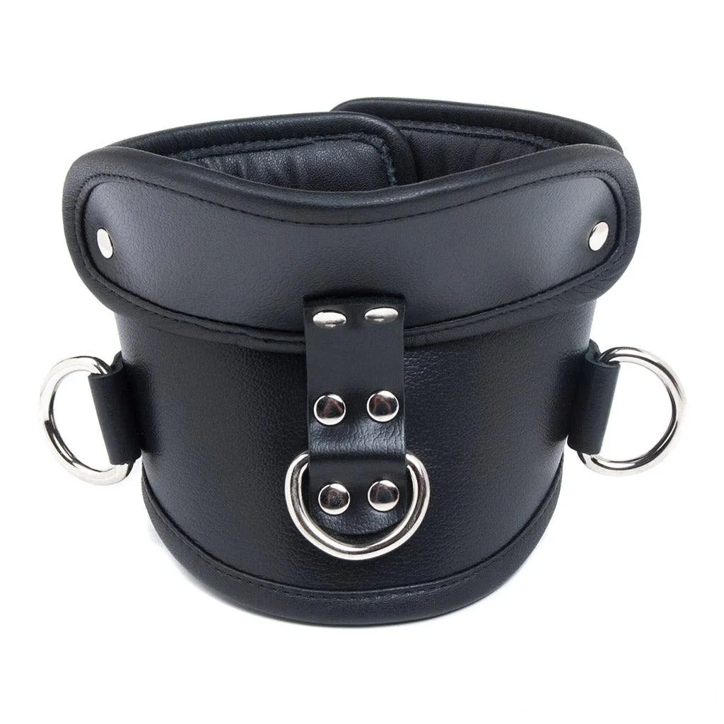 Deluxe Padded Leather Posture Collar w/ D Rings