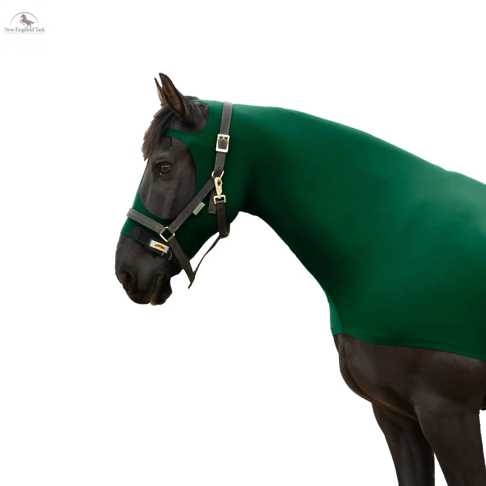 RESISTANCE Premium Horse Hood Pullon with Face w Forelock Saver - Lycra Material