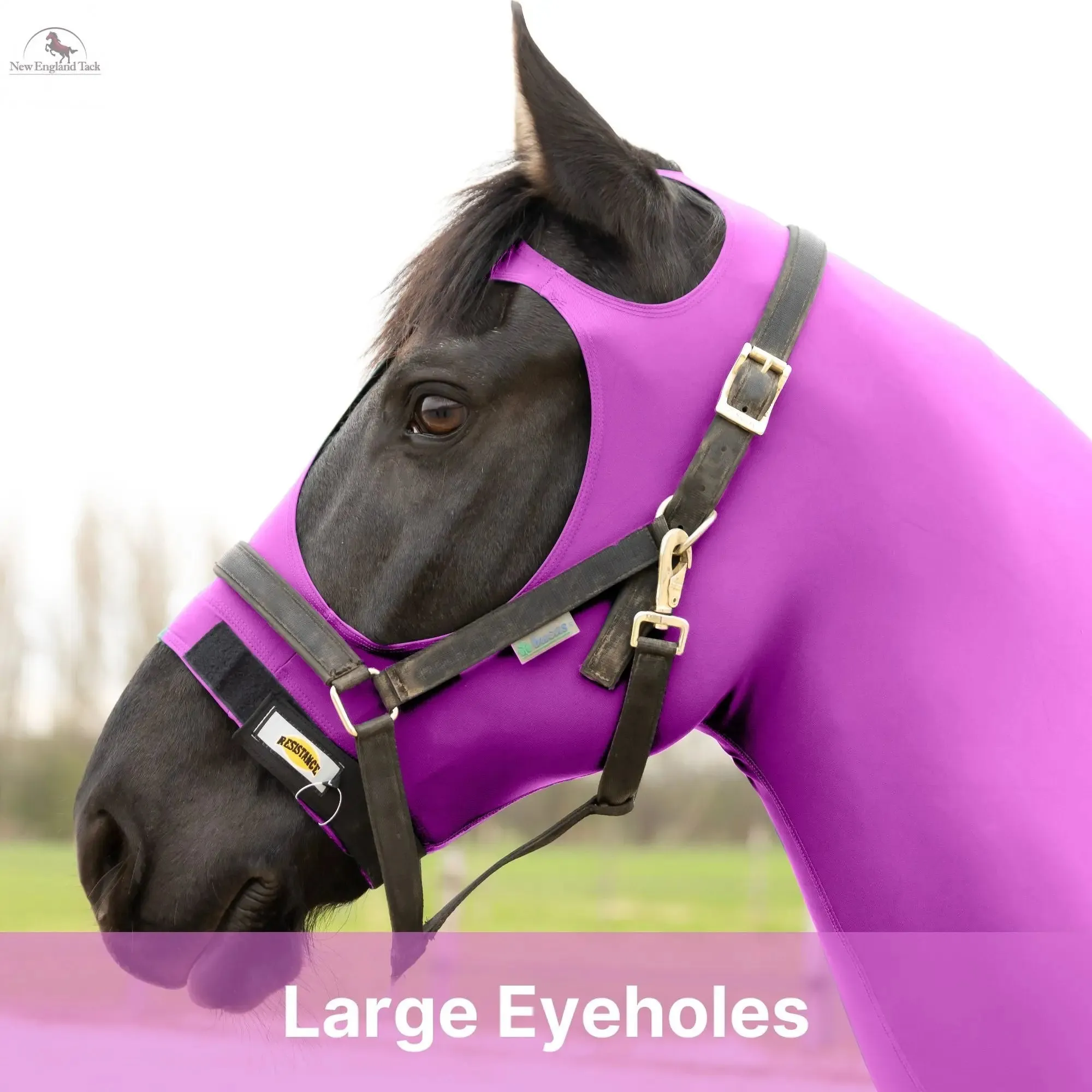 RESISTANCE Premium Horse Hood Pullon with Face w Forelock Saver - Lycra Material