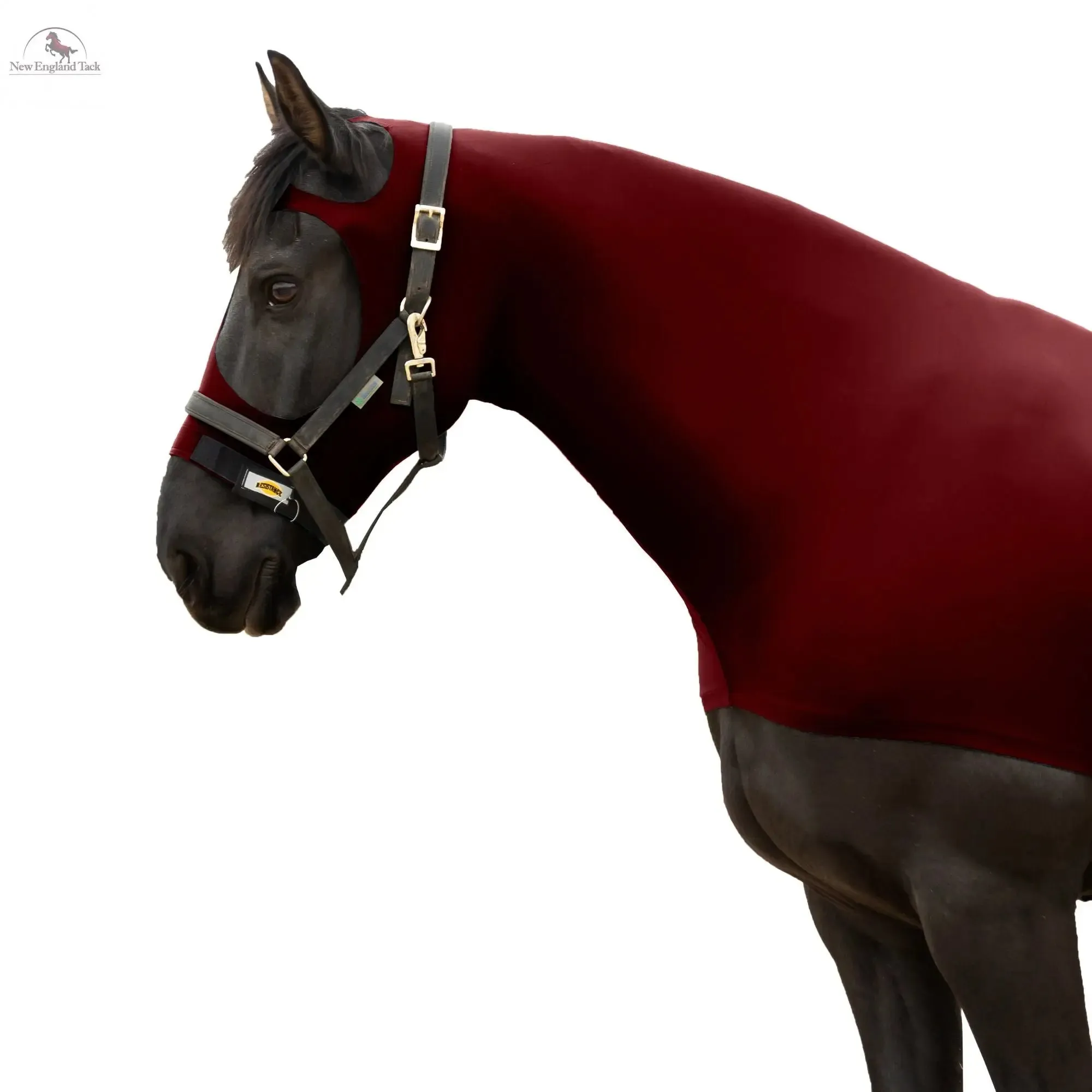 RESISTANCE Premium Horse Hood Pullon with Face w Forelock Saver - Lycra Material