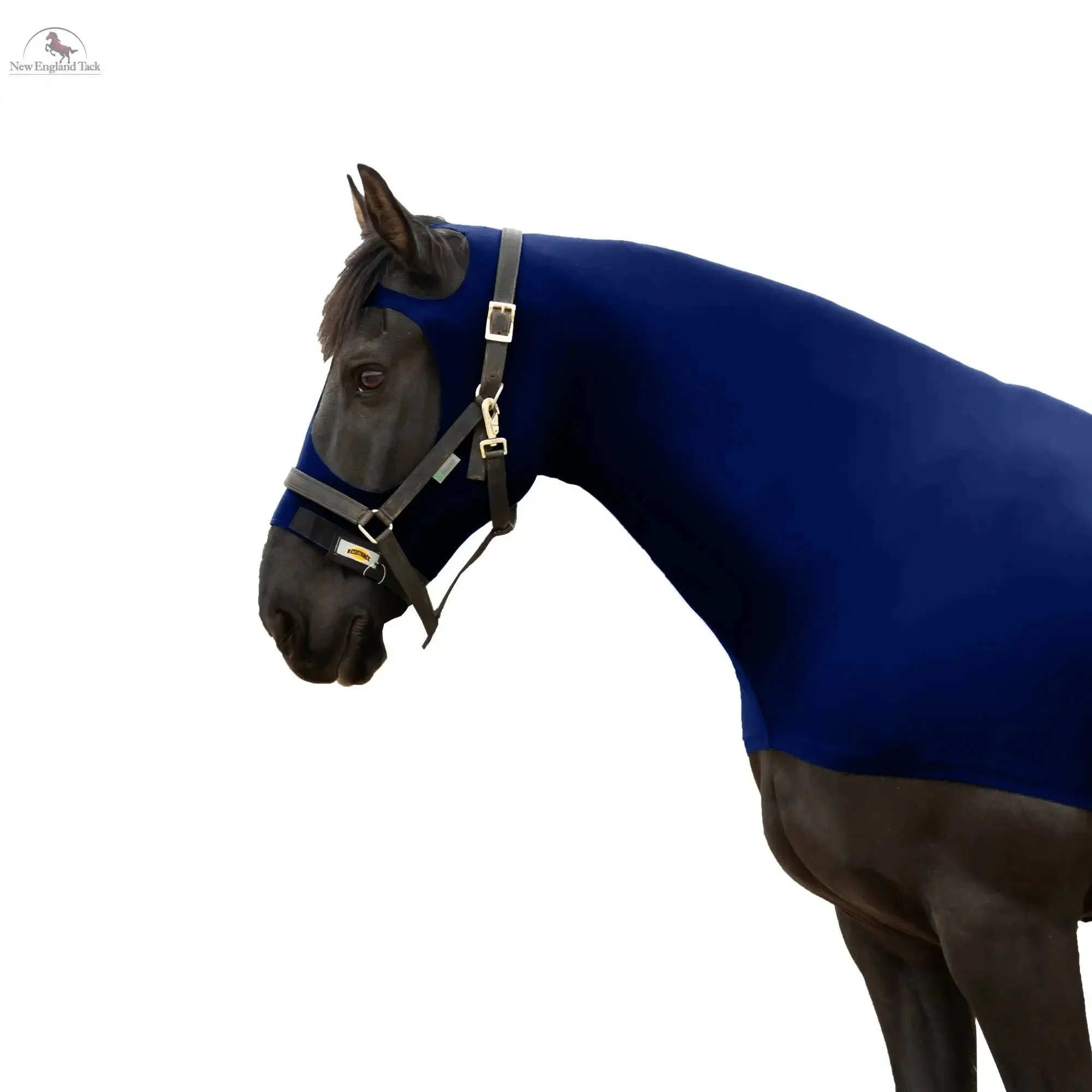 RESISTANCE Premium Horse Hood Pullon with Face w Forelock Saver - Lycra Material